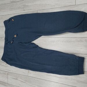 3/$45 Navy Tentree joggers